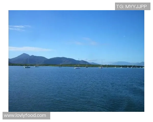 布里斯班首都迎战阳光海岸瑞普精彩对决即将上演