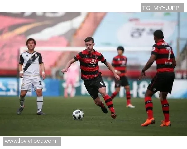 浦项制铁与城南FC对决前瞻分析及胜负预测全解析